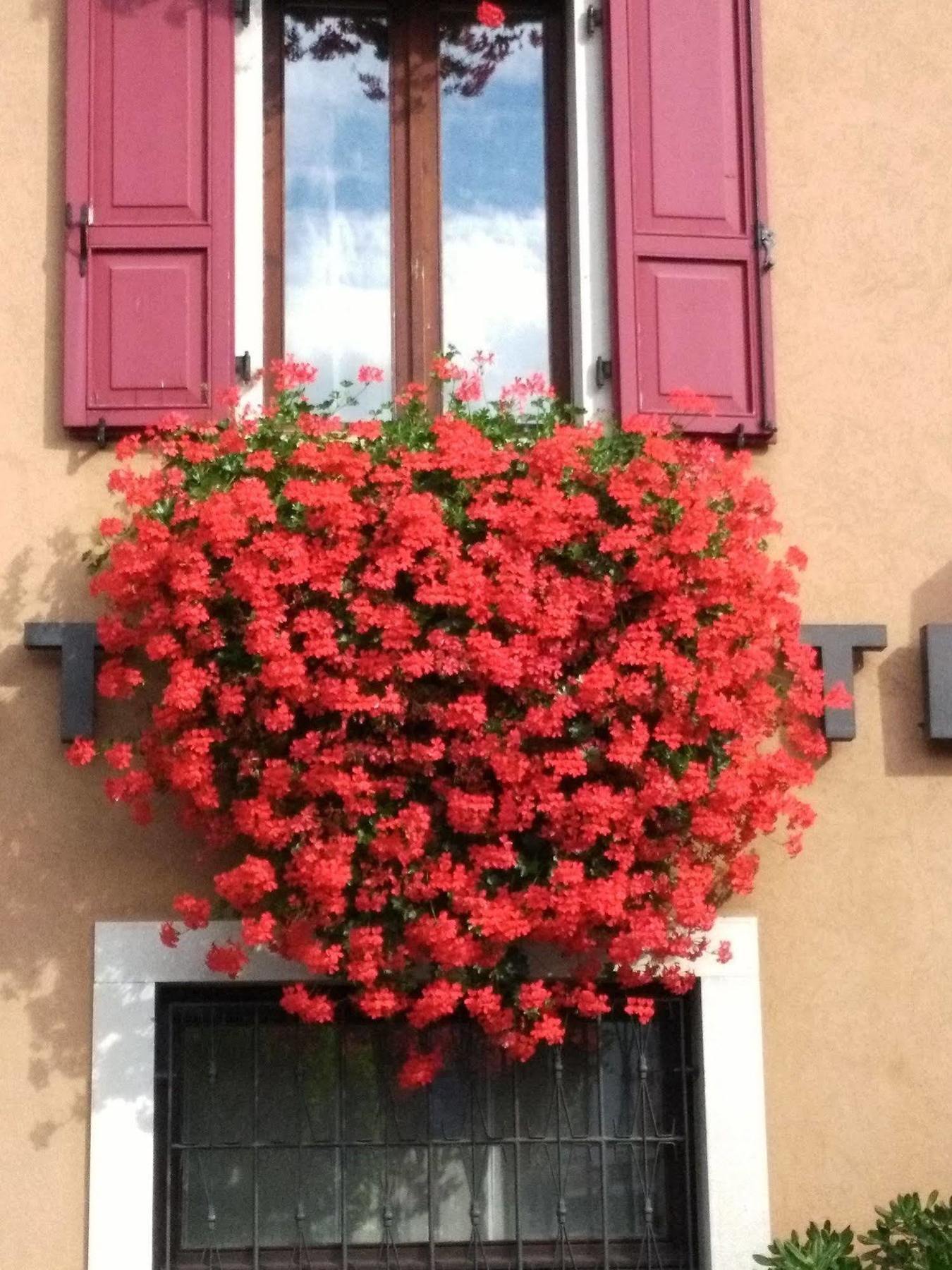 Hotel San Giorgio Удине Екстериор снимка