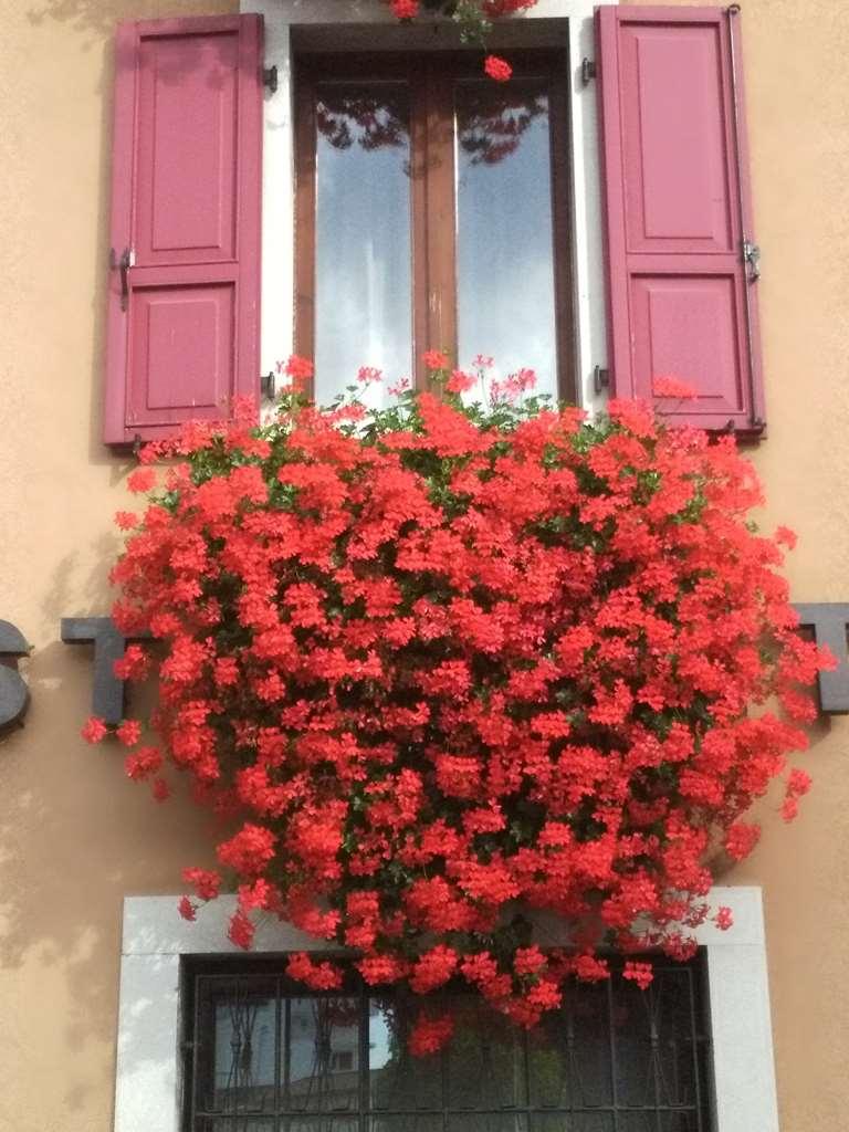 Hotel San Giorgio Удине Екстериор снимка